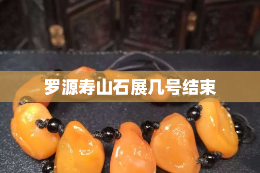 罗源寿山石展几号结束