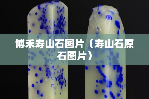 博禾寿山石图片（寿山石原石图片）