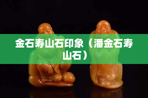 金石寿山石印象（潘金石寿山石）