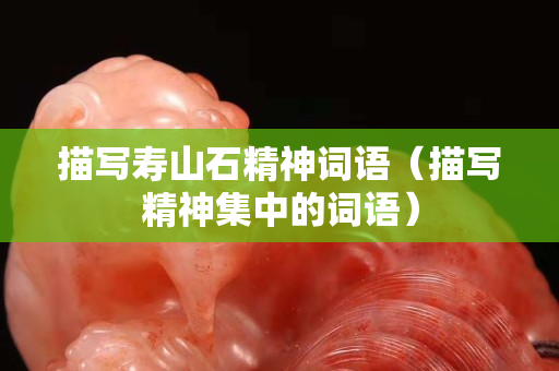 描写寿山石精神词语（描写精神集中的词语）