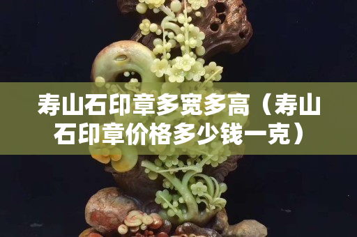 寿山石印章多宽多高（寿山石印章价格多少钱一克）