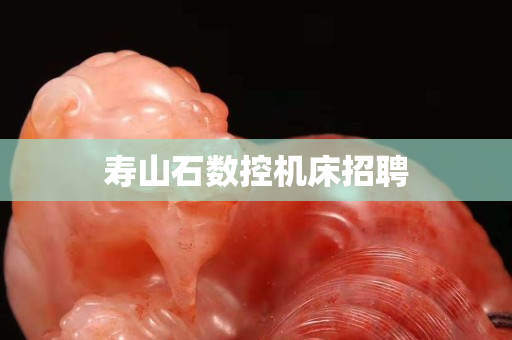 寿山石数控机床招聘
