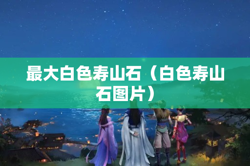 最大白色寿山石（白色寿山石图片）