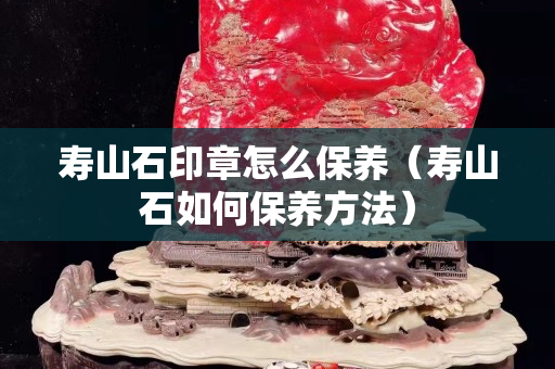 寿山石印章怎么保养（寿山石如何保养方法）