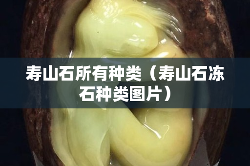 寿山石所有种类（寿山石冻石种类图片）