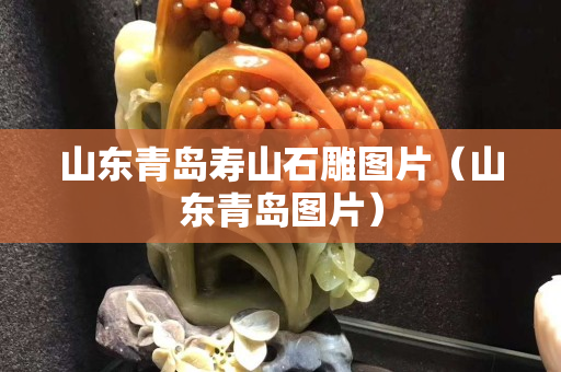 山东青岛寿山石雕图片（山东青岛图片）