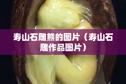 寿山石雕熊的图片（寿山石雕作品图片）