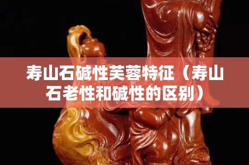 寿山石碱性芙蓉特征（寿山石老性和碱性的区别）