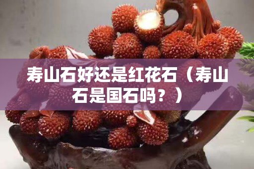 寿山石好还是红花石（寿山石是国石吗？）