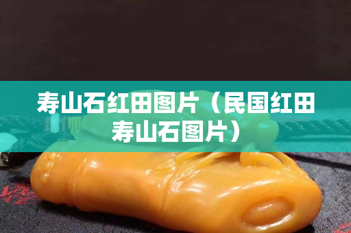 寿山石红田图片（民国红田寿山石图片）