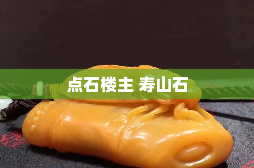 点石楼主 寿山石