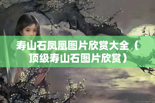 寿山石凤凰图片欣赏大全（顶级寿山石图片欣赏）