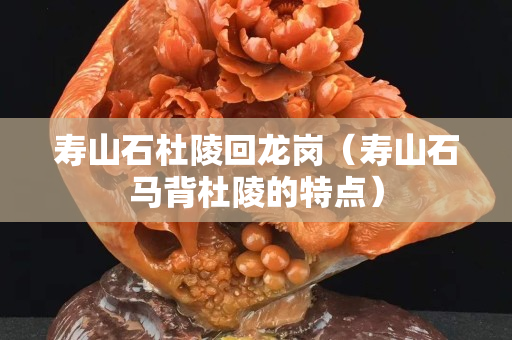 寿山石杜陵回龙岗（寿山石马背杜陵的特点）
