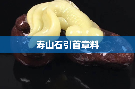 寿山石引首章料