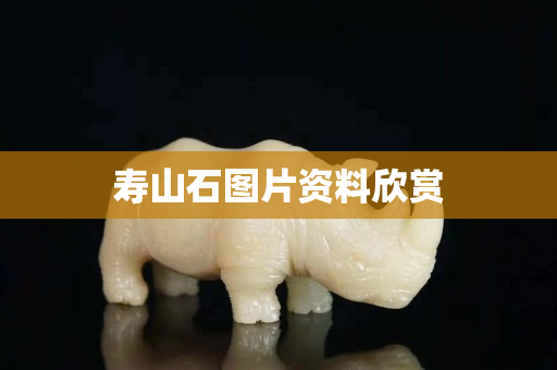 寿山石图片资料欣赏