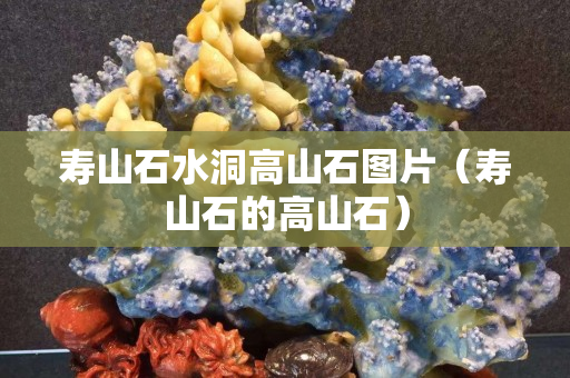 寿山石水洞高山石图片（寿山石的高山石）