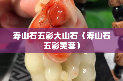 寿山石五彩大山石（寿山石五彩芙蓉）