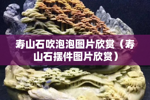 寿山石吹泡泡图片欣赏（寿山石摆件图片欣赏）