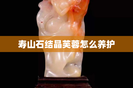 寿山石结晶芙蓉怎么养护