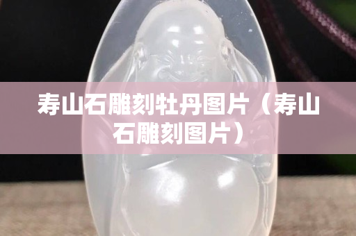寿山石雕刻牡丹图片（寿山石雕刻图片）