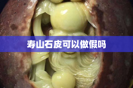 寿山石皮可以做假吗