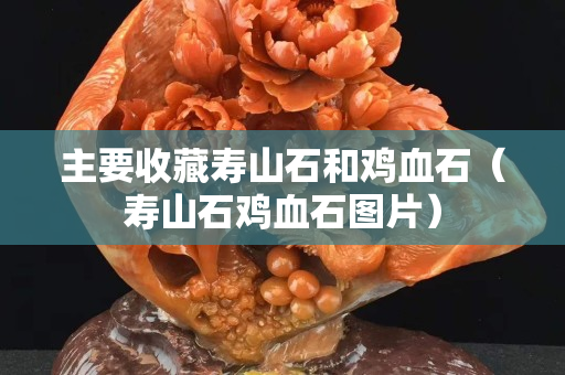 主要收藏寿山石和鸡血石（寿山石鸡血石图片）