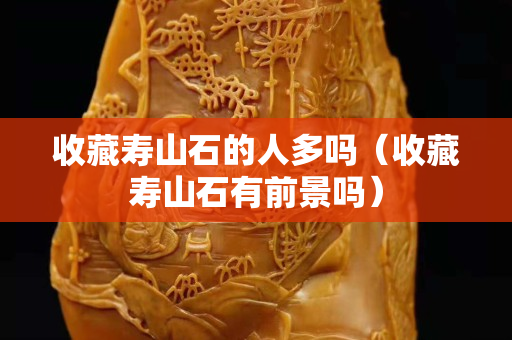 收藏寿山石的人多吗（收藏寿山石有前景吗）