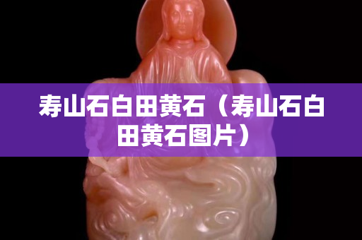 寿山石白田黄石（寿山石白田黄石图片）