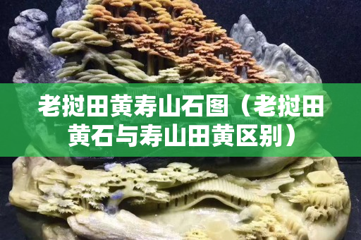 老挝田黄寿山石图（老挝田黄石与寿山田黄区别）