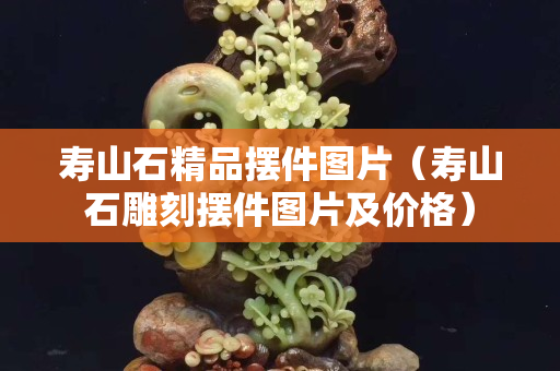 寿山石精品摆件图片（寿山石雕刻摆件图片及价格）