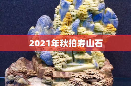 2021年秋拍寿山石