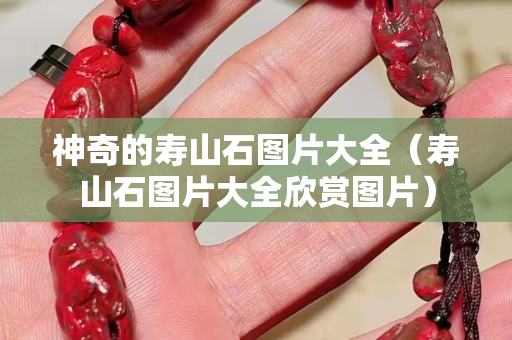 神奇的寿山石图片大全（寿山石图片大全欣赏图片）