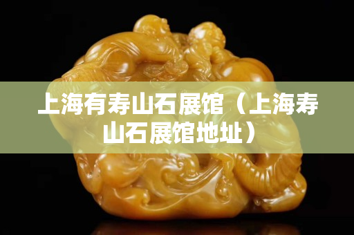 上海有寿山石展馆（上海寿山石展馆地址）