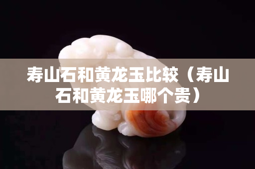 寿山石和黄龙玉比较（寿山石和黄龙玉哪个贵）
