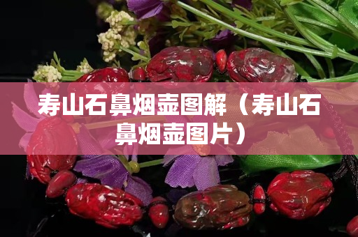寿山石鼻烟壶图解（寿山石鼻烟壶图片）