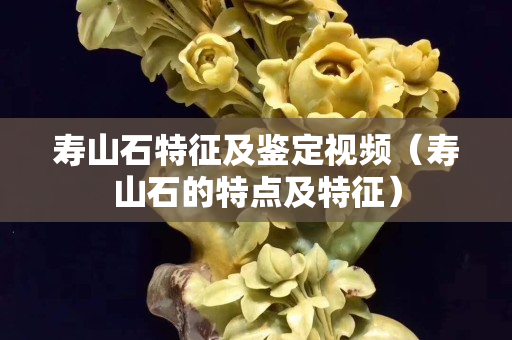 寿山石特征及鉴定视频（寿山石的特点及特征）