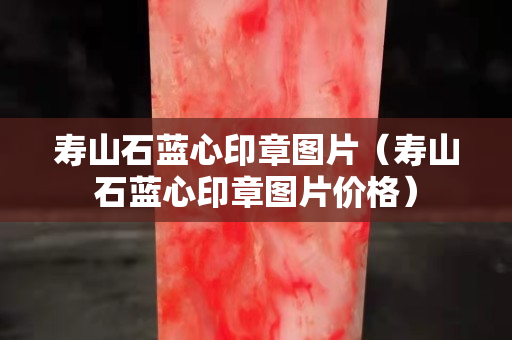 寿山石蓝心印章图片（寿山石蓝心印章图片价格）