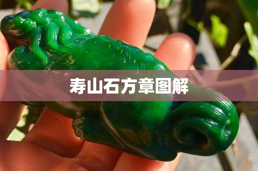 寿山石方章图解