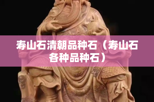寿山石清朝品种石（寿山石各种品种石）