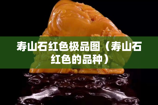 寿山石红色极品图（寿山石红色的品种）