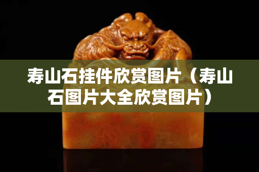 寿山石挂件欣赏图片（寿山石图片大全欣赏图片）