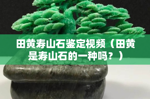 田黄寿山石鉴定视频（田黄是寿山石的一种吗？）