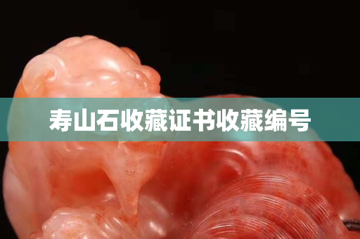 寿山石收藏证书收藏编号