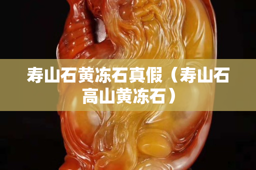 寿山石黄冻石真假（寿山石高山黄冻石）