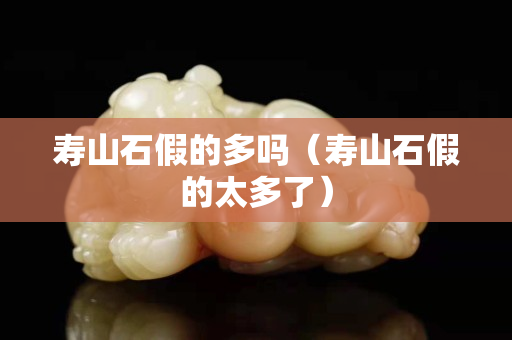 寿山石假的多吗（寿山石假的太多了）