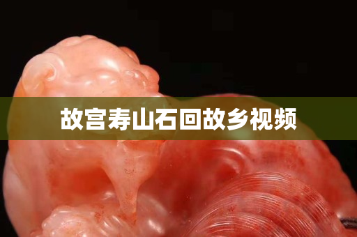 故宫寿山石回故乡视频