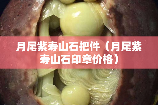 月尾紫寿山石把件（月尾紫寿山石印章价格）
