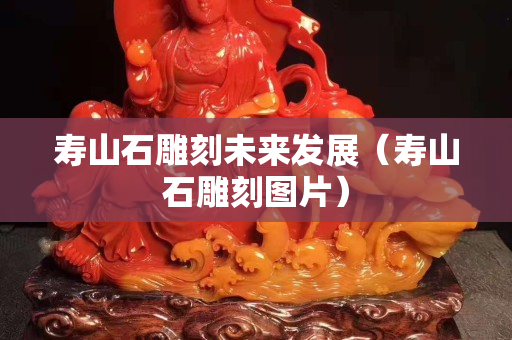 寿山石雕刻未来发展（寿山石雕刻图片）