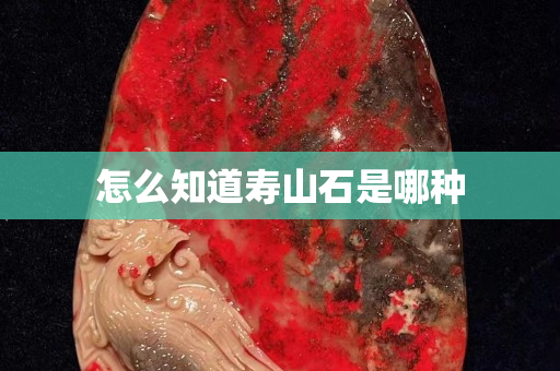 怎么知道寿山石是哪种