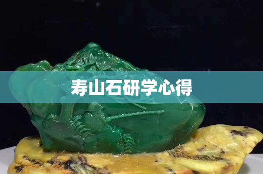 寿山石研学心得